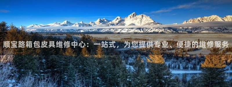 必一体育在线入口