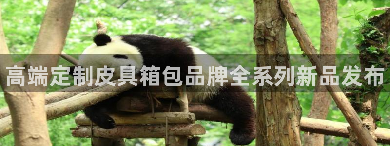 必一体育下载移动版