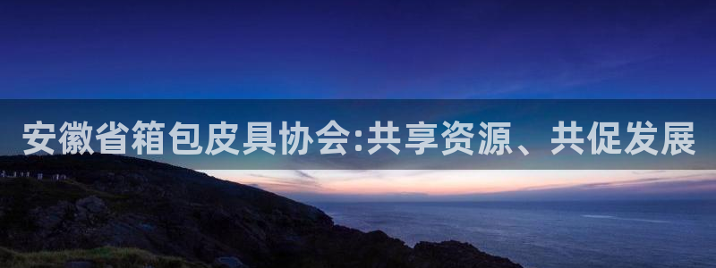 必一体育最新官网入口首页