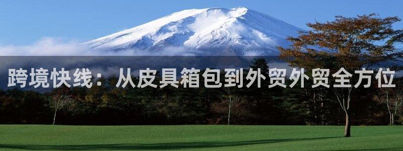 必一体育下载app