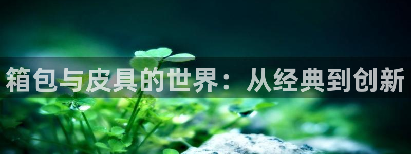 必一运动sport网页版