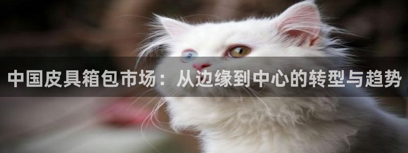 必一体育是哪里的台子