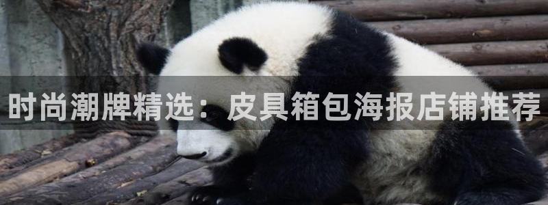 必一体育网页登陆