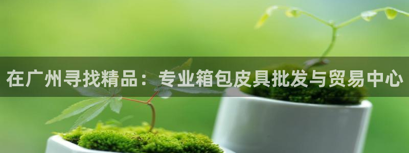 必十二和必一的副作用