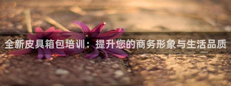 必一体育官方下载