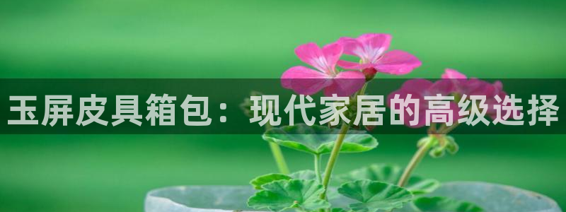 必一体育最新官网入口首页