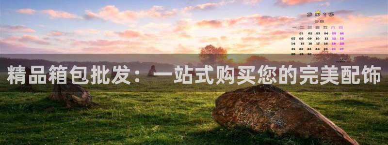 必一体育登录APP下载