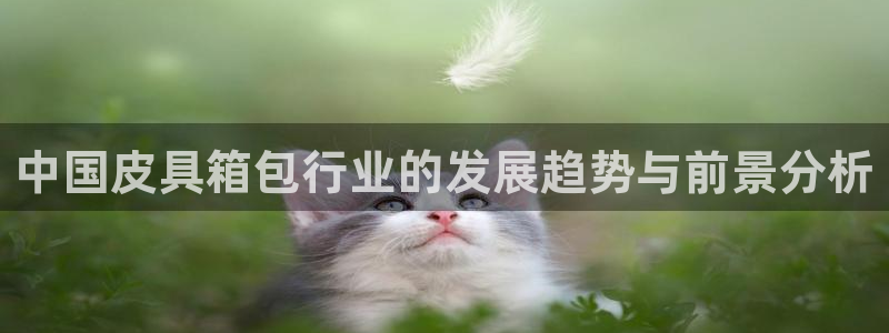 必一体育sport下载