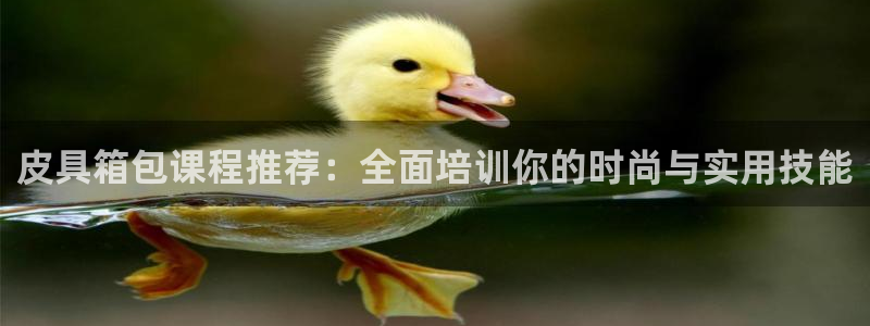 必一运动tieba.baidu.com