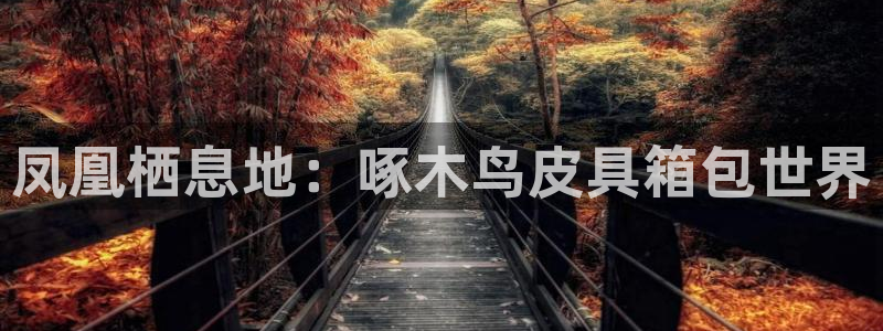 必一体育官网ios下载