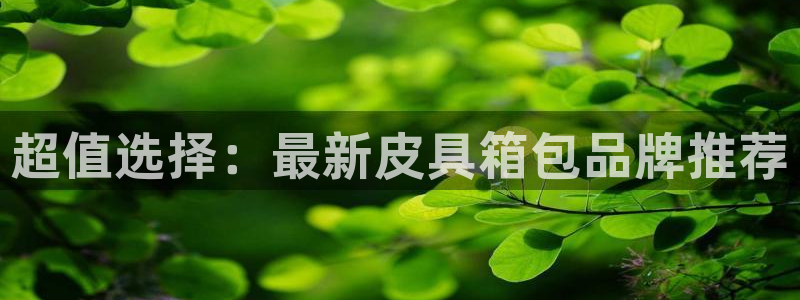 必一体育在线下载