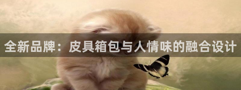 必一运动体育app