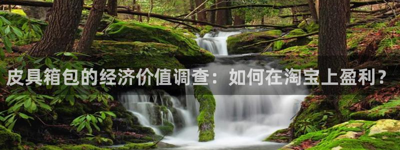 必一体育app下载最新版本