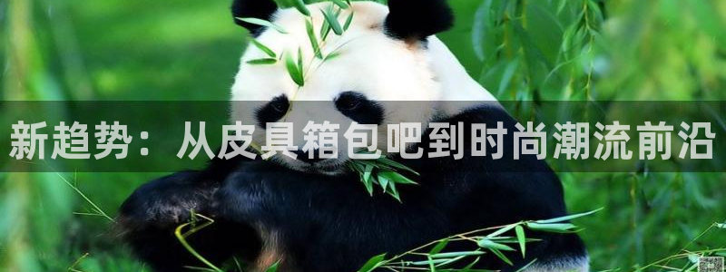 必一体育最新官网入口首页