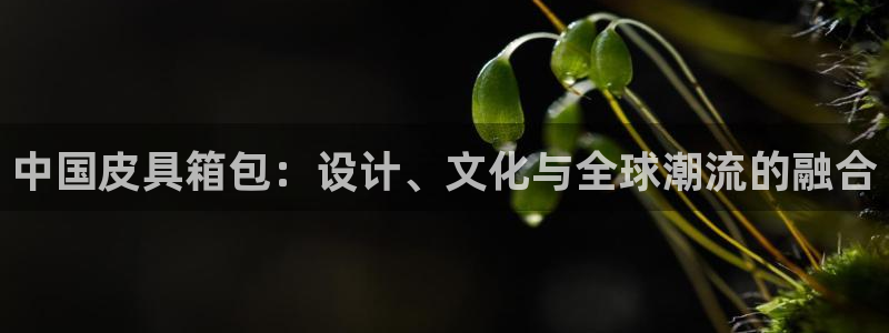 必一体育app下载安装