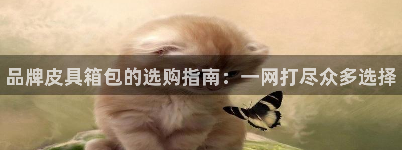 必一运动bsport体育app下载