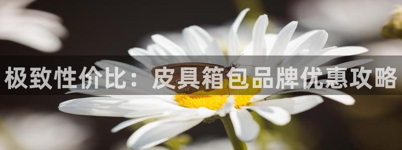 必一体育下载登入