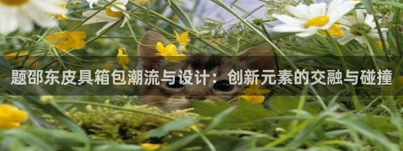 必一运动bsport体育app下载