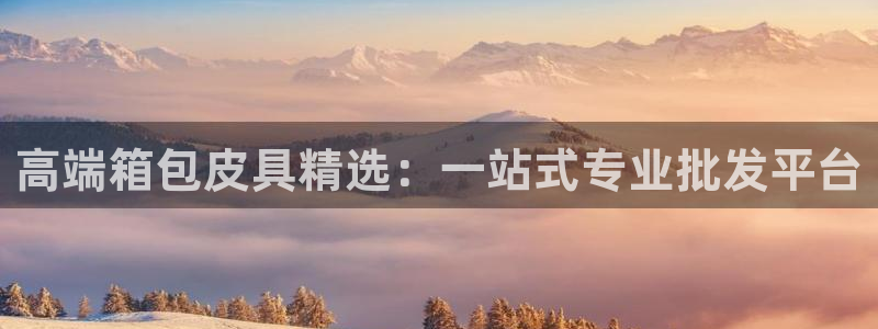 必一体育app官方正版下载