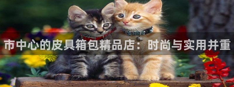 必一体育app平台下载