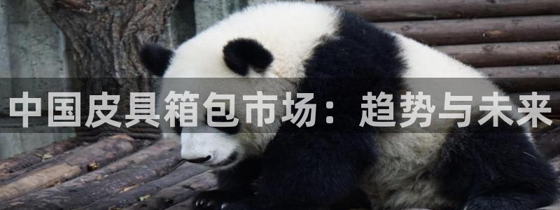 必一运动验证码