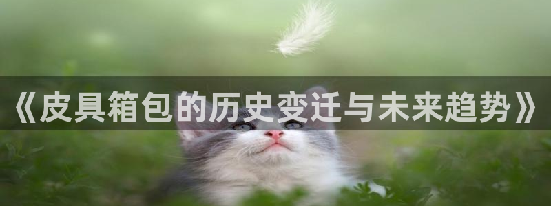 必一体育登录入口APP