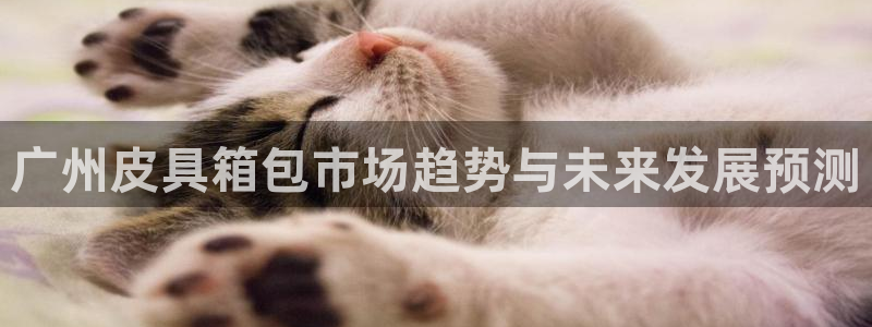 必一体育官网网址