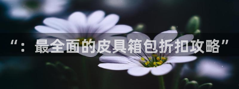 必一体育app下载装机吧