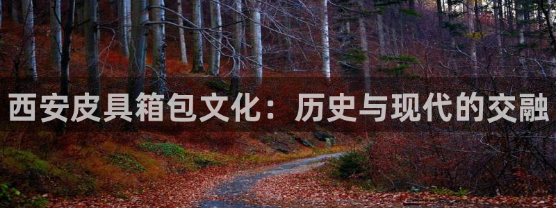 必一体育app官方网站