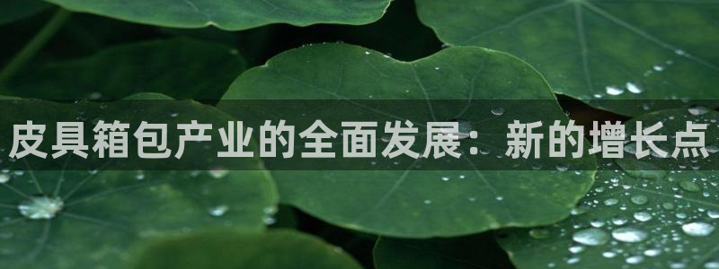 必一体育sport下载