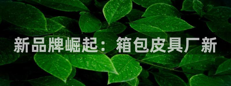 必一体育官网网站