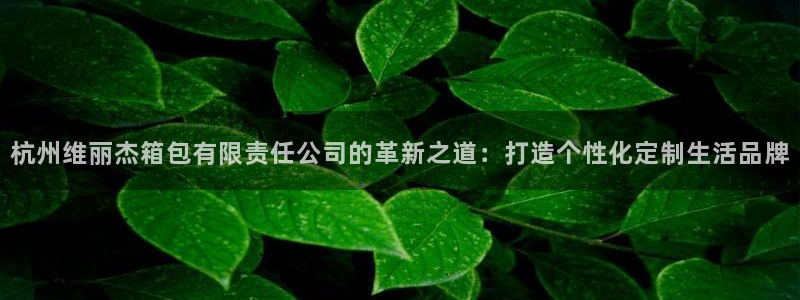 必一运动 b 体育素描版