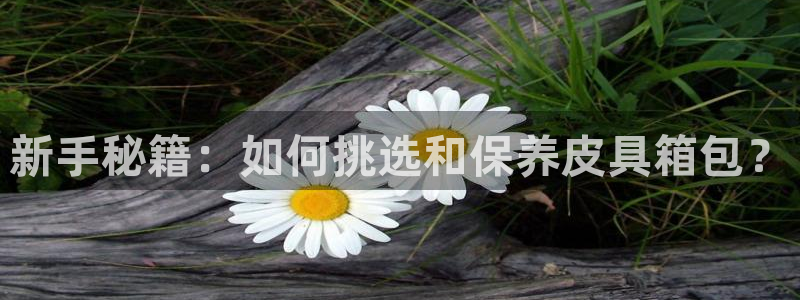 必一体育下载意思