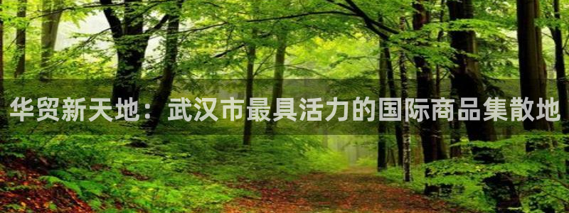 必一运动官网入口