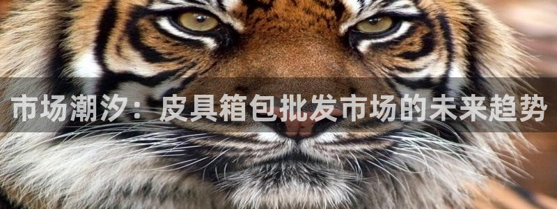 必一体育下载app下载