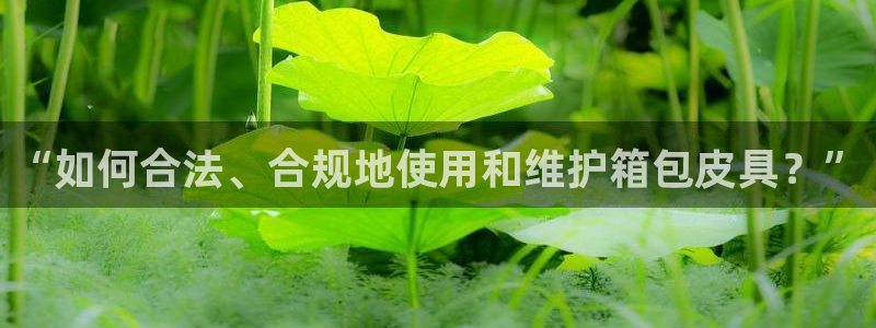 必一体育app官方网站
