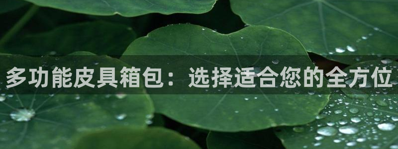 必一运动短信