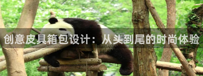 必一体育登陆