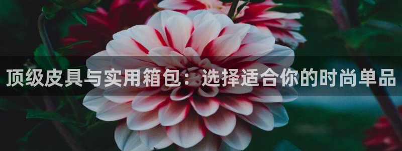 必一运动体育app
