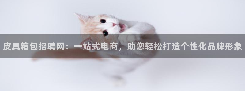 必一运动官网装机吧