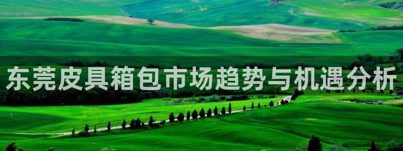 必一体育sport官网
